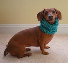 Small Neck Scarf
